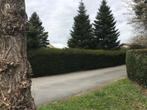 Construction maison Annecy - agrandissement, surélévation - Maisons BTS