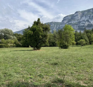 Construction maison Annecy - agrandissement, surélévation - Maisons BTS