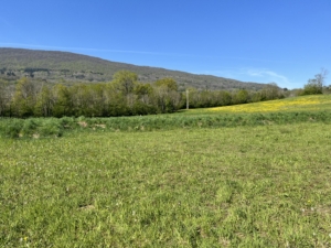 terrain-a-construire-savigny-Maisons-BTS