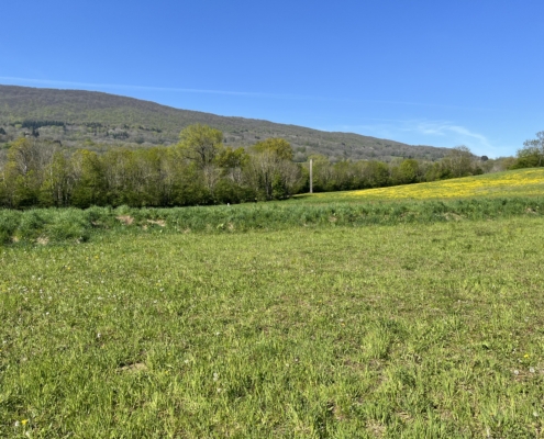 terrain-a-construire-savigny-Maisons-BTS
