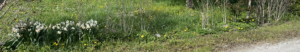 terrain-a-construire-aix-les-bains-Maisons-BTS